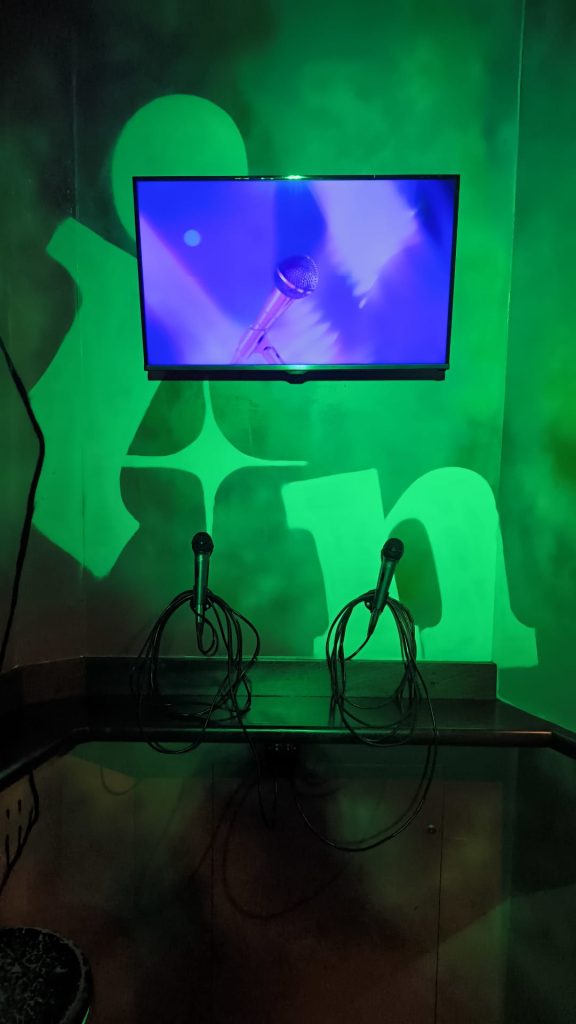 Sunfly Karaoke Room 3